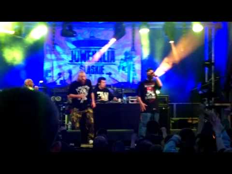 Trzeci Wymiar - Dostosowany 2 | Koncert Juwenalia Śląskie (Katowice 2015)