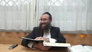 חידושו של רבי שאול שז''ת דנקודים קבלו רק הארה מחוטם ופה | נקודים פ"ט 1 -הרב סיבוני | אוצ"ח המבואר 81