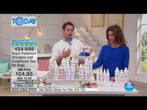 HSN | HSN Today: Pet Solutions 05.11.2017 - 07 AM