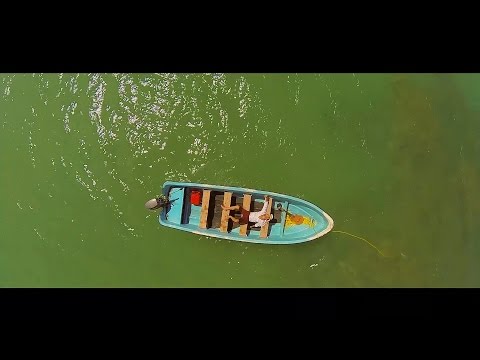 Zeo Munoz - Millones de Gallos Rojos ft. Wason Brazoban