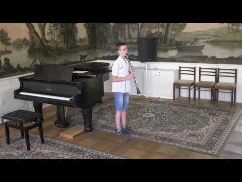 Lukáš Chvosta, 13 let, vlastní skladba "Pečené město", 19.6.2019