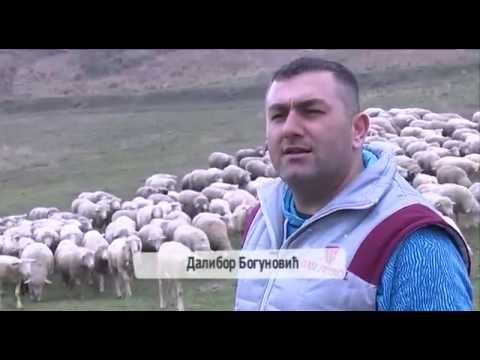 Povratak na selo- Porodica Bogunovic