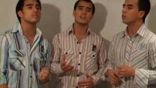 In The Still Of The Night Acapella Cover (performed by 3nity Brothers)