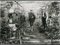 Haunted Hills Of Adelaide Part 3 Newmans Nursery