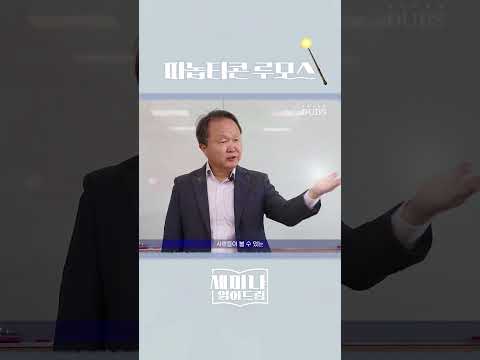 파놉티콘 루모스