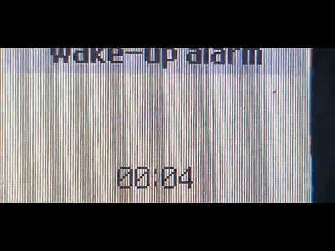 Samsung SGH-C270 Alarm