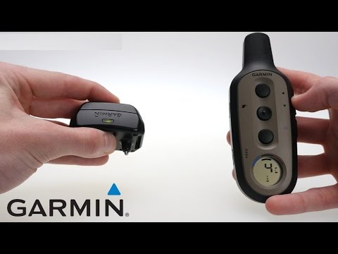 Support: Pairing a Delta Dog Device