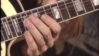 Zakk Wylde Cry Me a River solo