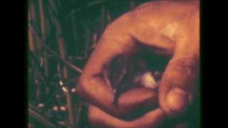 Au Palais - Tender Mercy