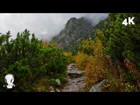 Rainy Mountain Hike: Fog and Fall Colours in the High Tatras Mountains