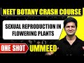 SEXUAL REPRODUCTION IN FLOWERING PLANTS In 1 Shot All Concepts Tricks PYQs NEET Crash Course