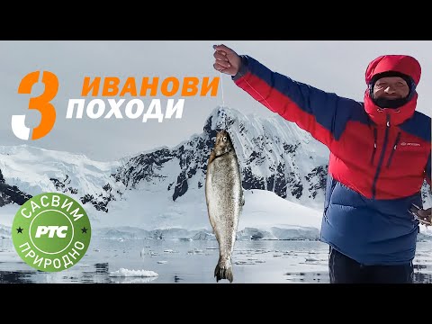 Sasvim prirodno: Ivanovi pohodi, treci deo (Jovan Memedović)