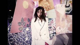 Björk : The Modern Things - The Brodsky Quartet (Live)