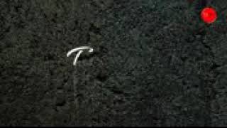 Download lagu LaoNeis Band - Tetes Air Mata ( Lyric) mp3