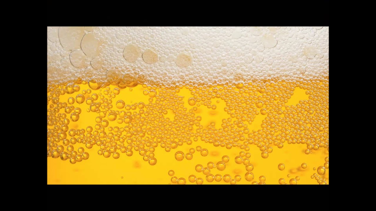 Sammy Experience - Beer Time