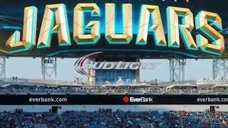 Jacksonville Jaguars Project Highlight
