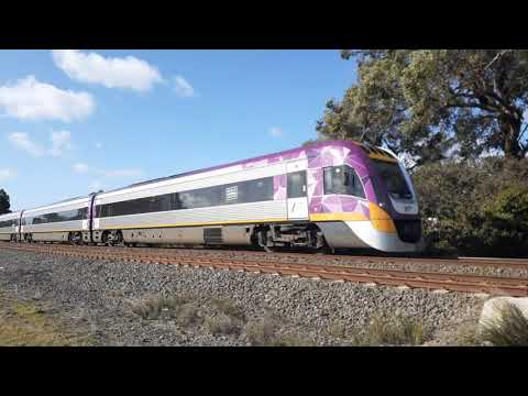 v/line velocity horn show!