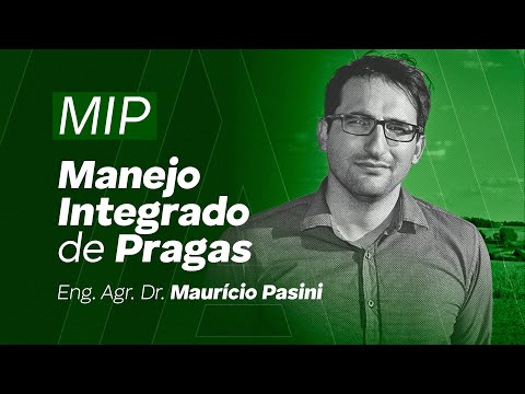 Entenda o que é o Manejo Integrado de Pragas