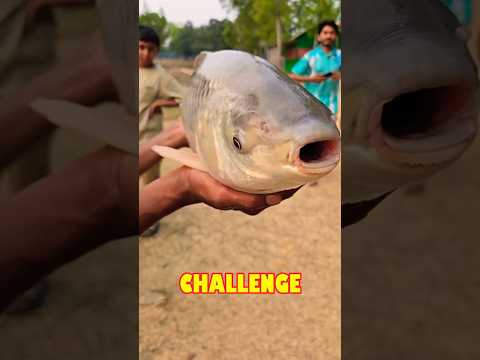 Catching Fish in Net Circle in Ramat Gan Pond Israel #Shorts