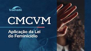 Comissão analisa dados sobre violência contra a mulher – 11/3/26