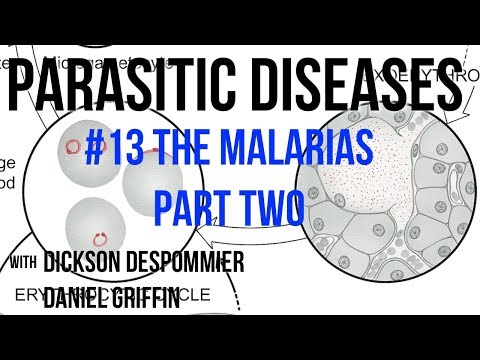 Parasites Without Borders, Parasitic Diseases Lectures #12: The Malarias Part Two