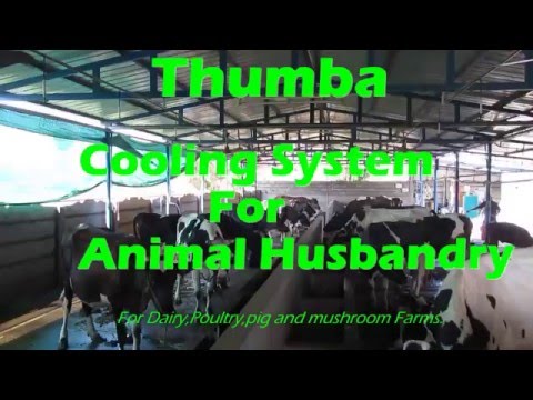 Thumba Dairy Mist Cooling System Demo