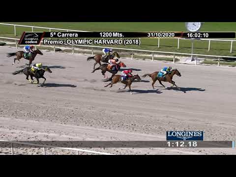 31/10/2020 – Hipodromo Maroñas – Carr 5 - OLYMPIC HARVARD (2018)