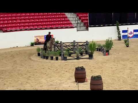 Andalusian World Cup 2019 Advanced (L6) Working Equitation Ease of Handling Cossaco & Jill Barron
