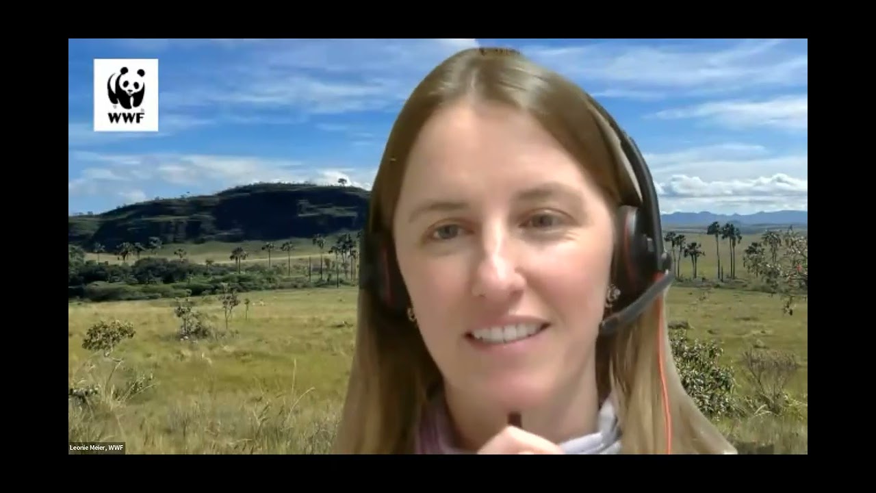 One Land, One Vision: Integrating Rangeland & Pastoralist Solutions into Global Env Frameworks