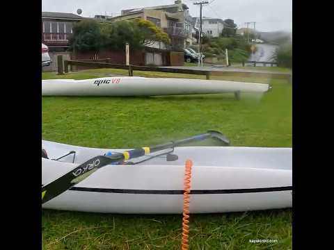 Pukeko bird #surfski #birdwatching #birdlovers #newzealand