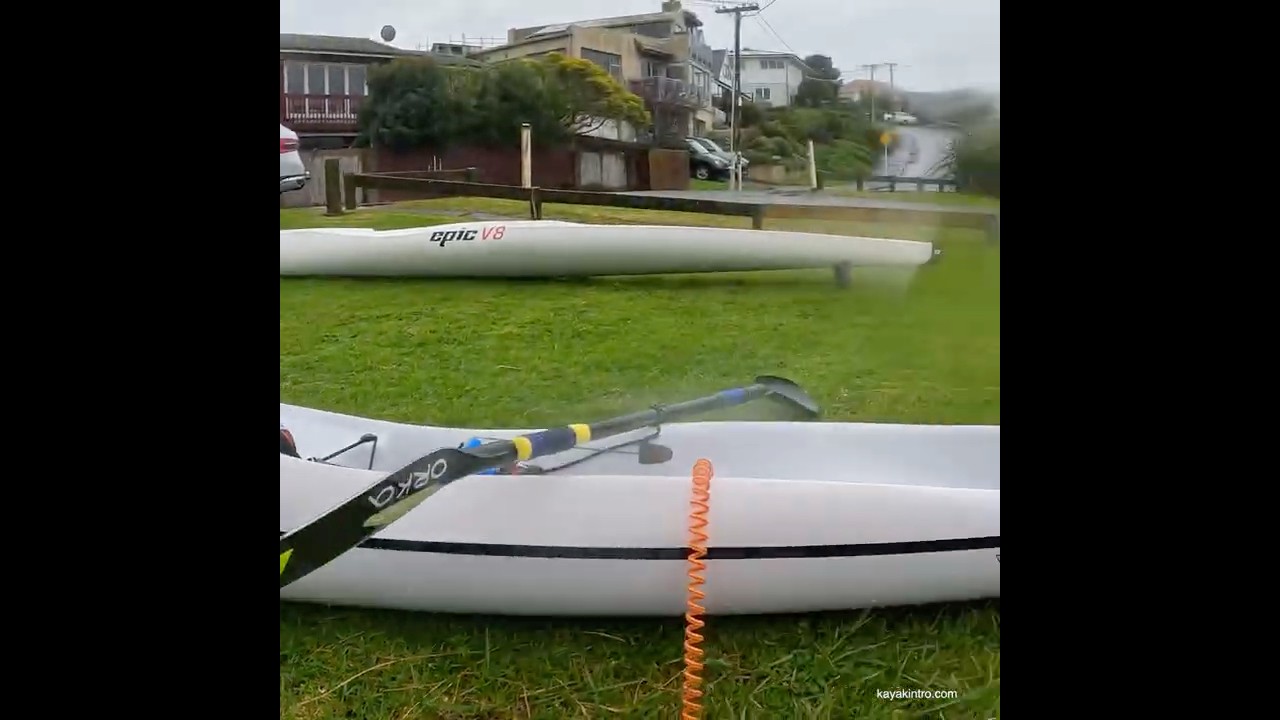 Pukeko bird #surfski #birdwatching #birdlovers #newzealand