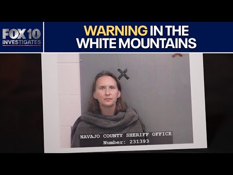 'Failed by the system': Arizona woman's mental health struggles documented months before fatal crash