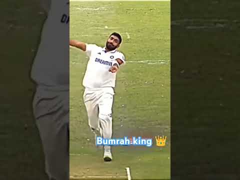 Cricket tik tok video 2024 🥎⚾🏏