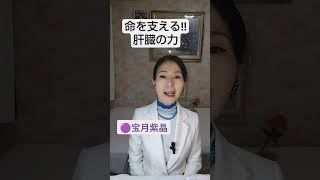 🔴「肝臓‼️」をいたわる事で「健康‼️」を取り戻す #肝臓ケア#デトックス#健康習慣#免疫力アップ#宝月紫晶#宝月紫晶 姓名判断