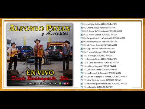 ALFONSO PAYAN Y ASOCIADOS EN VIVO