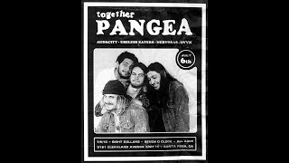 Together Pangea - Friend of Nothing