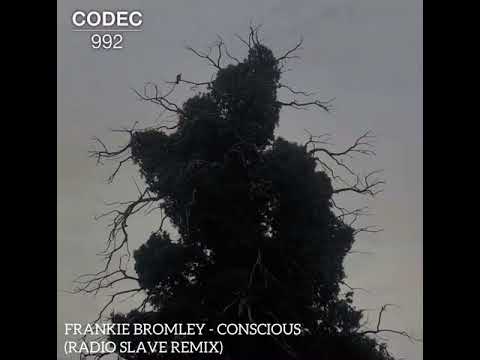 Frankie Bromley - Conscious (Radio Slave Remix)