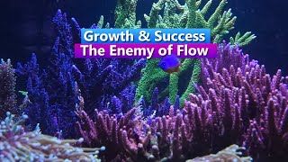 Growth & Success - The Enemy of Flow