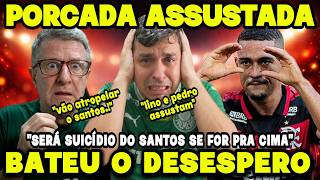 PALMEIRENSES EM PÂNICO. VÃO SECAR O MALVADÃO. FLAMENGO ATROPELA O SANTOS.
