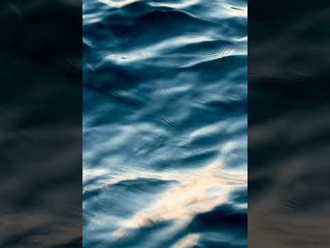 Bboy Music / Bboy Music 2021 / Funky Force - Sea