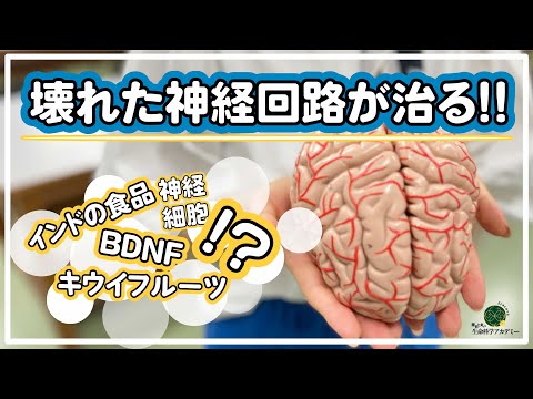 神経生物学者は脳からのデータを保護する必要があると要求