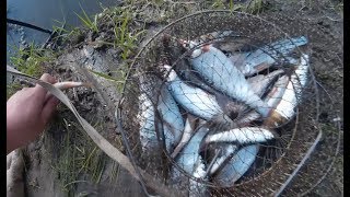 Все о рыбалка на реке иня новосибирск