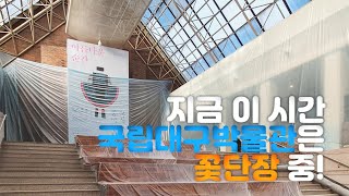 [홍보영상] 헉, 박물관이 왜 이래!? 이미지