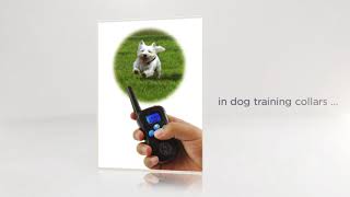 Puss and Pooch - Training your dog can be simple and pain-free!