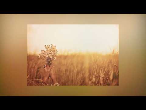 Dòng đời Sheet - Lê Uyên