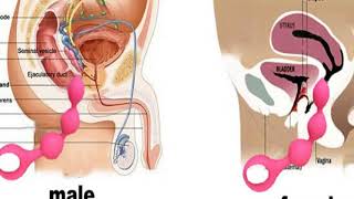 Anal Sex Safety and Health Concerns