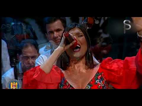 Paula Seling - Pana cand nu te iubeam (Festivalul Maria Tanase) [Live]