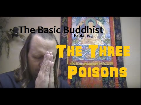 The Basic Buddhist Explains The Three Poisons