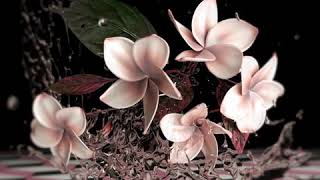 LA FEMME PRADA L´EAU