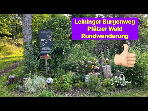 Premiumwanderung Leininger Burgenweg, Pfälzer Wald